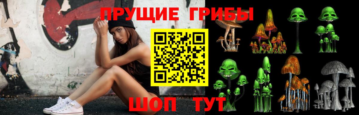 Лабинск  Галлюциногенные грибы Psilocybine cubensis  Вход с VPN 